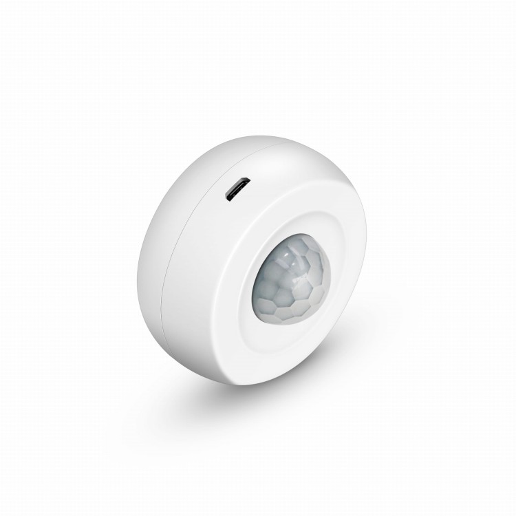 Wifi PIR (7).jpg
