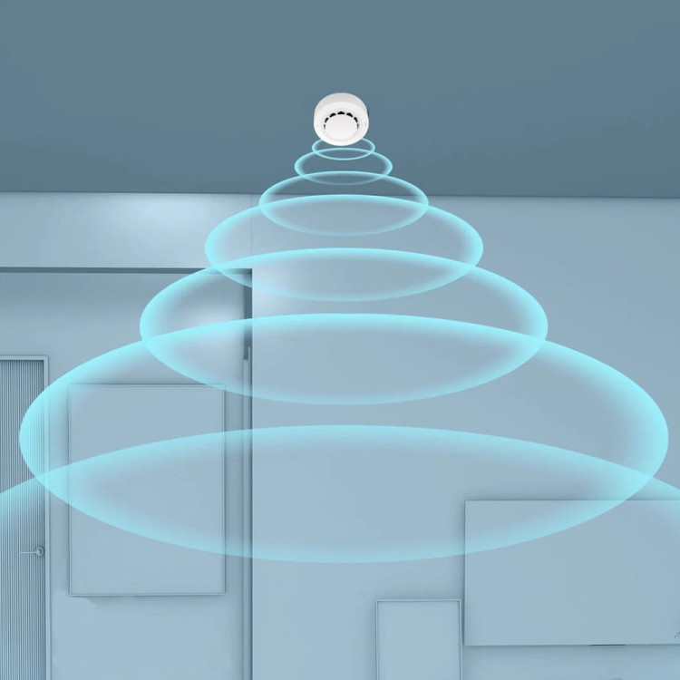 Smoke sensor-3.jpg